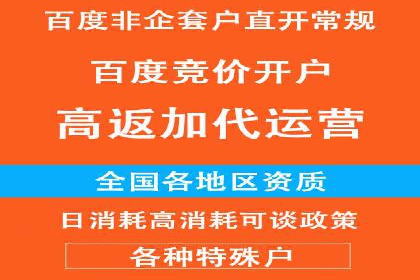 某电商平台的SEM投放全流程案例